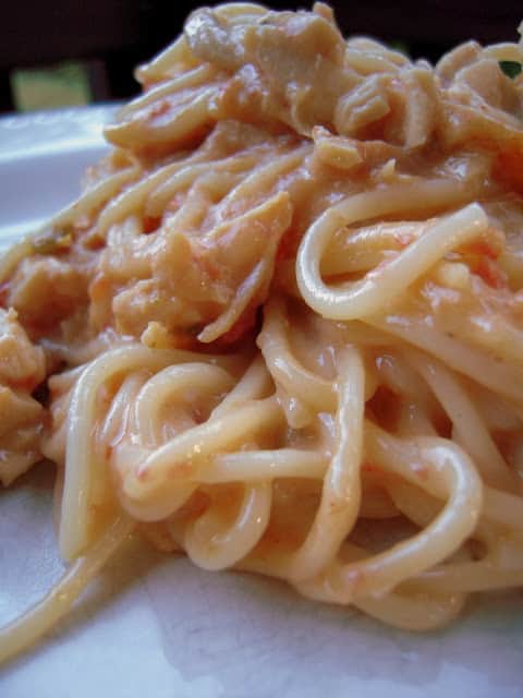 Mexican Chicken Spaghetti