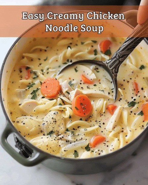 Easy Creamy Chicken Noodle Soup